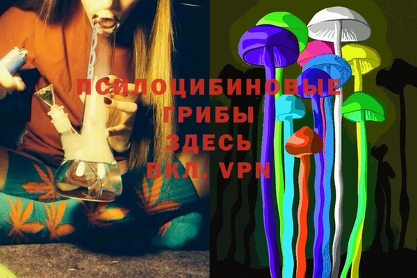 гашик Балабаново